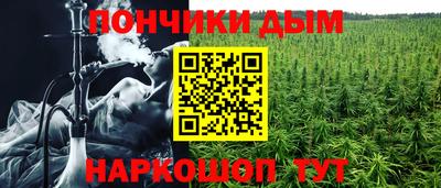 spice Заводоуковск